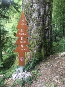 Pensez à saluer l'ancêtre en montant vers le col d'Oderen. Il est né avec la révolution.