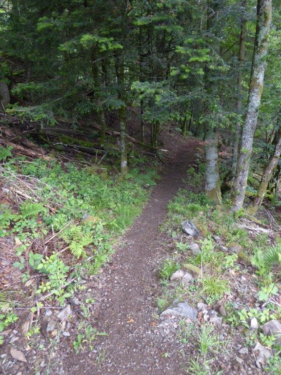 Ancien sentier Gazon vert vers Col des Perches (1)