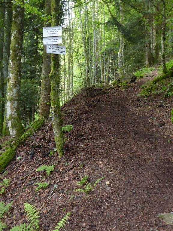 Ancien sentier Gazon vert vers Col des Perches (3)