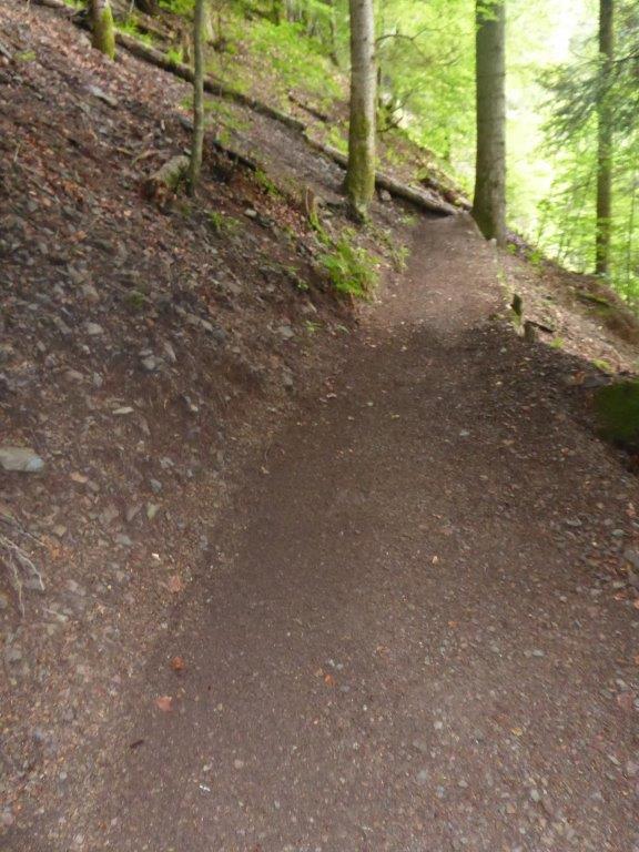 Sentier de la Cascade de Storckensohn après entretien mensuel (2)